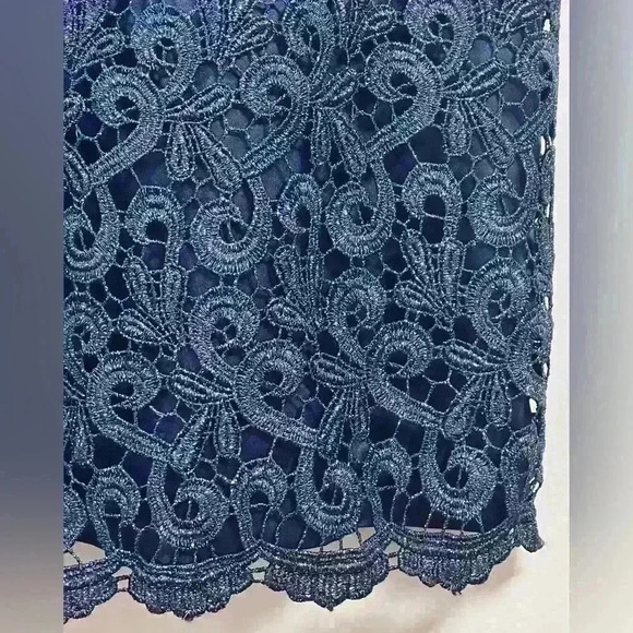 Adrianna Papell Navy Shimmer Embroidered Lace Short Formal Dress Size 4 - Picture 10 of 13